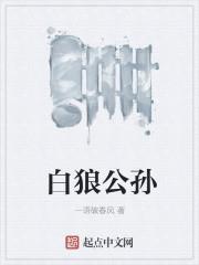 白狼公孙