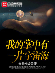 我的系统有代罚功能