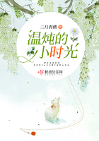 ������Сʱ��