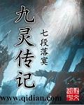 九灵传记